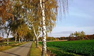 Radtouren rund um Hameln